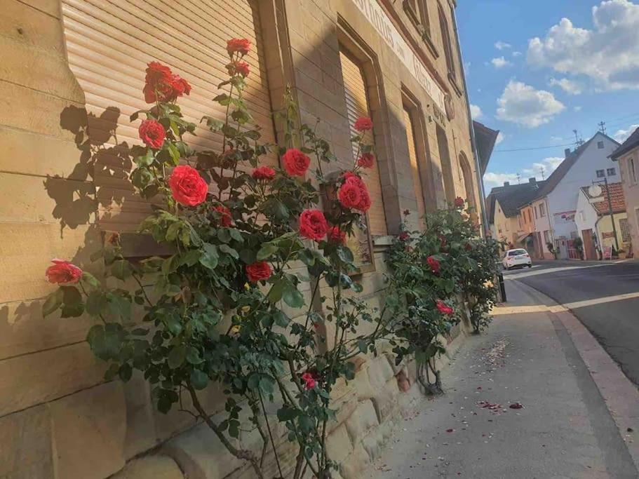 Wohlfuehloase Auf 133-160Qm In Der Idylle An Der Nahe Apartment Duchroth Luaran gambar