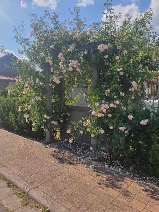 Wohlfuehloase Auf 133-160Qm In Der Idylle An Der Nahe Apartment Duchroth Luaran gambar